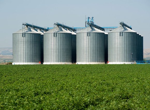Rice/Paddy Silos