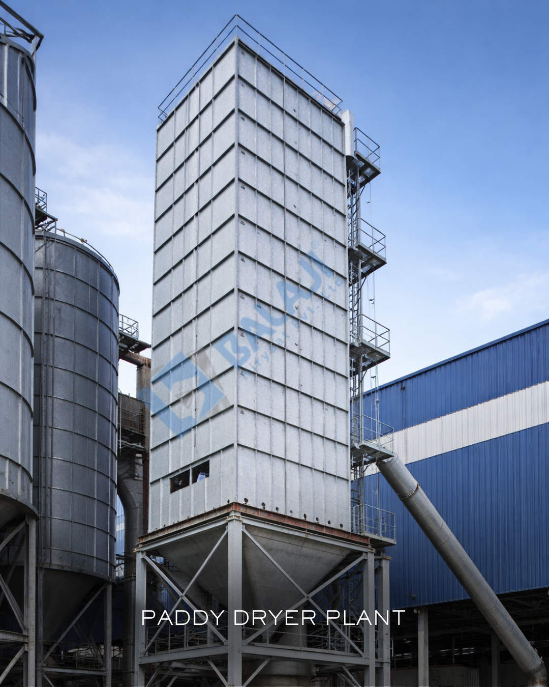 Paddy Dryers Plants